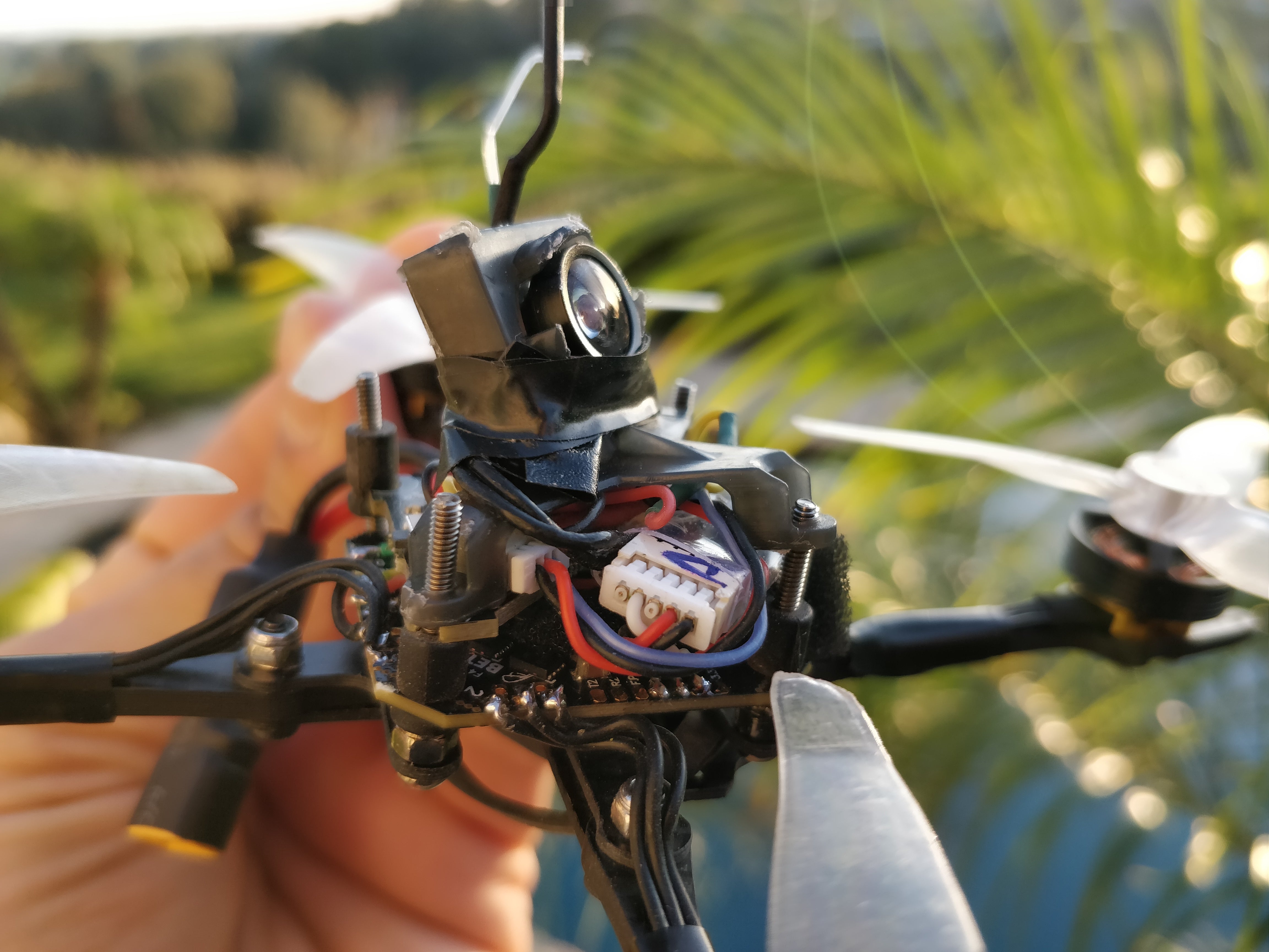 BeeBrain V2 Camera Mount and Canopy